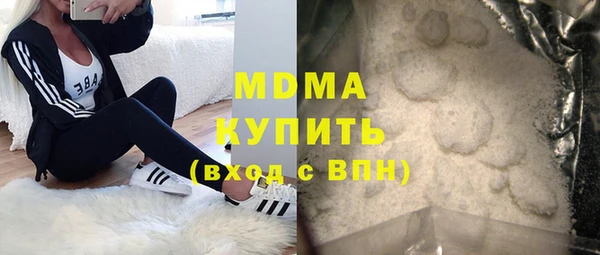 индика Алексин