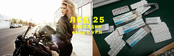 индика Алексин