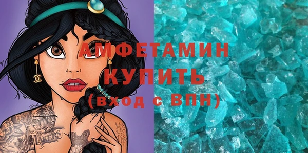 индика Алексин