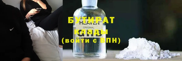 индика Алексин
