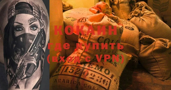 индика Алексин