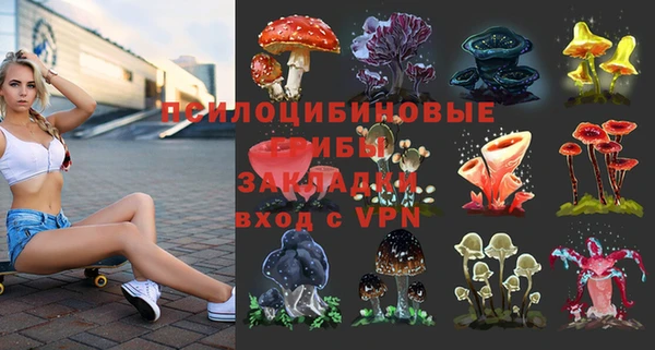 индика Алексин