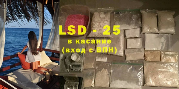 индика Алексин