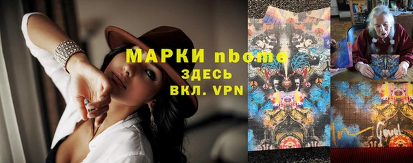 индика Алексин