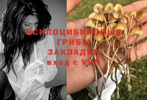 индика Алексин