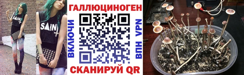 Псилоцибиновые грибы мухоморы  Калач-на-Дону 